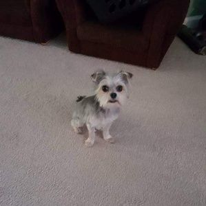 Meet your Posher, April